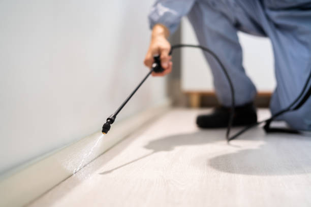 Licensed Termite Control service in Oklahoma City, OK - Nex Pest Control