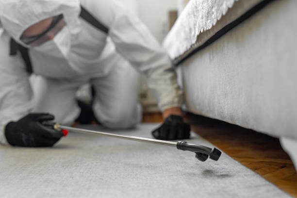 Professional Termite Control technician working in Oklahoma City, OK