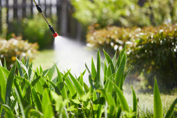 24/7 Emergency Termite Control experts in Oklahoma City, OK