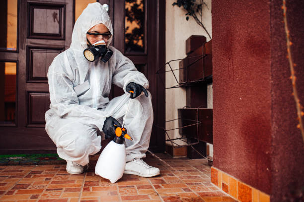 Reliable Termite Control contractor in Oklahoma City, OK by Nex Pest Control