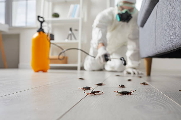 Trusted Fumigation Services service in Oklahoma City, OK - Nex Pest Control