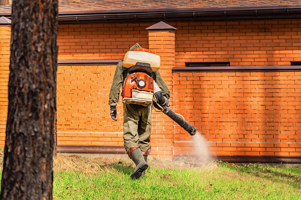 Trusted Mosquito Control service in Oklahoma City, OK - Nex Pest Control